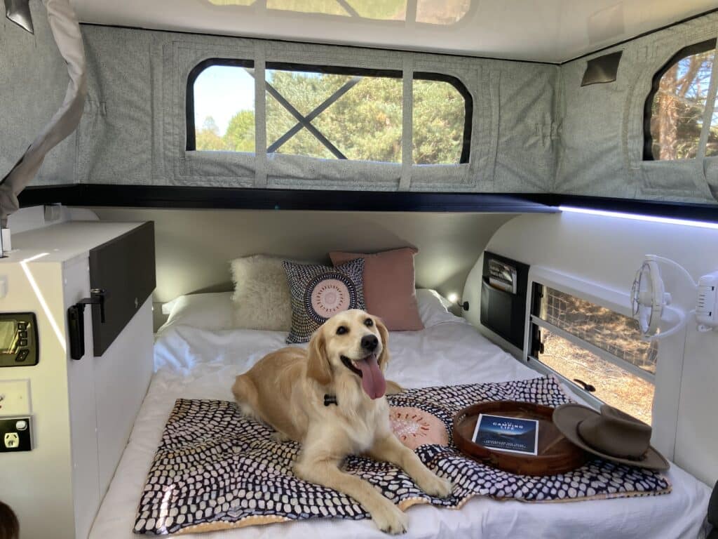 caravaning around Australia with pets